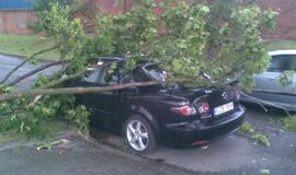 A storm hit Lithuanian shores