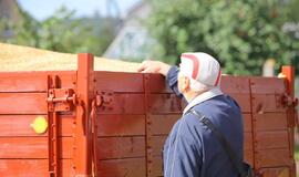 Grūdų karštinė veikia ir nieko dėtus vairuotojus