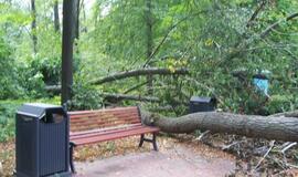 Klaipėdos poilsio parkas - be priežiūros