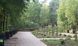 Klaipėdos poilsio parkas - be priežiūros