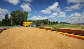 Grūdų karštinė veikia ir nieko dėtus vairuotojus