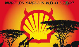 "Shell" per trejus metus išleido milijardą dolerių saugumui užtikrinti
