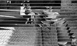 Kviečia Dariaus Vaičekausko paroda „Dekonstrukcijos“