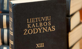 Lietuvių kalbos institutas: kodėl užsienio kalbos statusas viršesnis už valstybinės lietuvių kalbos statusą?