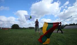 Į ekologijos kovą valandai pakilo aitvaras