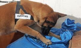 Savigyda užsiimantys lietuviai iš Kinijos siuntėsi vaistų "Ami. Amen"