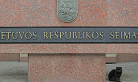 Apklausa: rugsėjį rinkėjai būtų pamaloninę penkias partijas