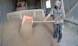 Kretingos rajone įkritęs į grūdų bunkerį žuvo vyras