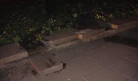 Jaunuoliui nepatiko Klaipėdos ir Debreceno draugystė