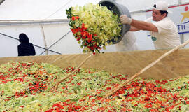 Rumunijoje sumaišytas rekordinis salotų kiekis