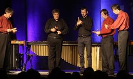 Vengrų perkusininkai drebins ŠMC erdves S. Reicho ritmais