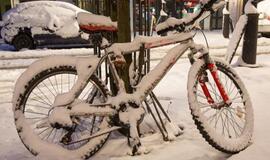 Vokietiją užklupo žiema: strigo traukiniai, lūžo medžiai