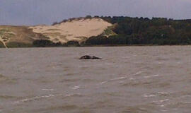 51-ąjį gimtadienį pasitinkanti Neringa prisimena savo pradžią