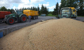 BVP išaugo pusketvirto procento, labiausiai – dėl rekordinio derliaus žemės ūkyje