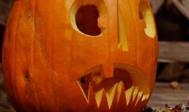 Paštininkas negyvėlį palaikė Helovyno dekoracija