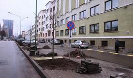 Liepų gatvėje sodinamos naujos liepaitės