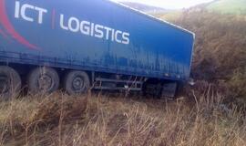 Vilkikas purvyne mirko beveik 2 paras