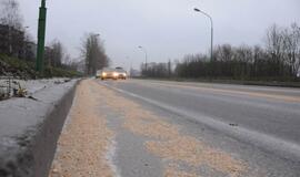 Uostamiesčio gatvėje - grūdų provėžos