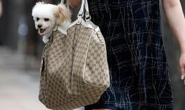 Rankinių plėšikų gaujos – vieni nuteisti, kiti bausmių dar sulauks