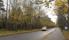 Savivaldybė Giruliuose nori daugiau gyventojų