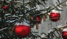 Kaip mes skubėjome ir norėjome mylėti