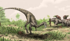 Mokslininkai mano aptikę seniausią dinozaurą
