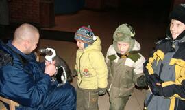 Kalėdų seneliui laiškus neš pingvinai