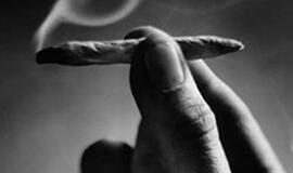 Albanijos policija prie sienos su Juodkalnija konfiskavo 2 tonas marihuanos