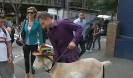 Australijos teismas išteisino... ožį