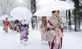 Japonijoje gausiai pasnigus žuvo du žmonės