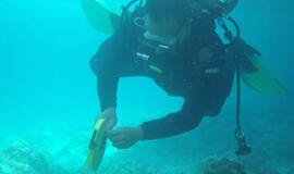 JAV karo laivas Filipinuose apgadino koralinį rifą