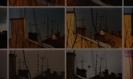 „Kasdienybės metamorfozes“ fiksavo pro virtuvės langą