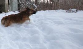 Klaipėdos ketvirtadienis, sausio 24-oji