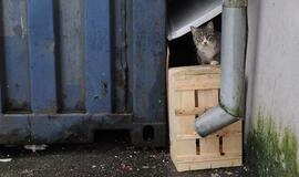 Klaipėdos ketvirtadienis, sausio 3-ioji