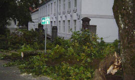 Moters mirtis Šilutei kainuos per 20 tūkst. litų