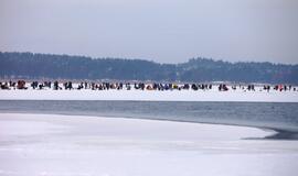 Stintų žvejyba ant Kuršių narių ledo