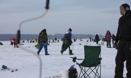 Stintų žvejyba ant Kuršių narių ledo