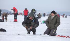 Stintų žvejyba ant Kuršių narių ledo