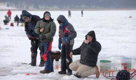 Stintų žvejyba ant Kuršių narių ledo