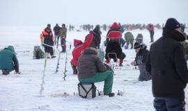 Stintų žvejyba ant Kuršių narių ledo