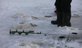 Stintų žvejyba ant Kuršių narių ledo