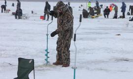 Stintų žvejyba ant Kuršių narių ledo