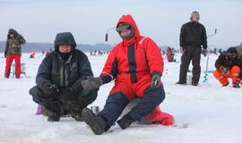 Stintų žvejyba ant Kuršių narių ledo