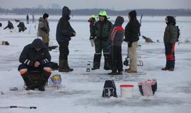 Stintų žvejyba ant Kuršių narių ledo