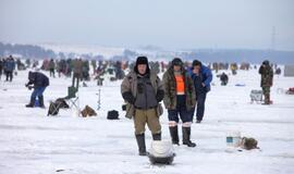 Stintų žvejyba ant Kuršių narių ledo