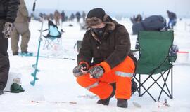 Stintų žvejyba ant Kuršių narių ledo