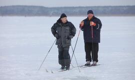 Stintų žvejyba ant Kuršių narių ledo