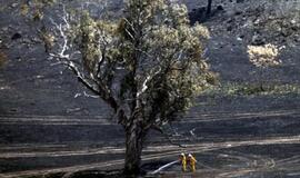 Rekordinis karštis Australijoje verčia meteorologus tobulinti žemėlapius