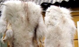 Tauragės rajone pavogė pustrečio šimto brangiakailių žvėrelių