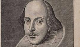 W. Shakespeare`o ir W. Wordswortho tekstai lavina smegenis